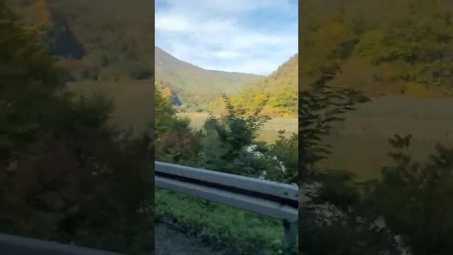 Из Белграда в Мокра гору смотреть онлайн