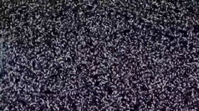 Николай Дроздов поет песни в парке Останкино 2 сентября 2017 смотреть онлайн