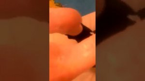 Шла босиком не жалея ног
