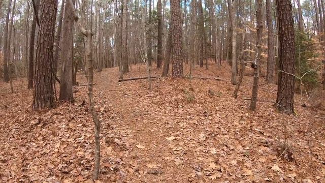 Journey to Spiritual Revival: Transform Your Faith Today (EP12) смотреть онлайн