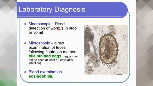 6- Nematodes of Nursing ( 1nd part) смотреть онлайн