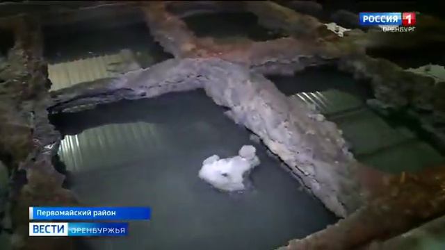 Природа гибнет... смотреть онлайн