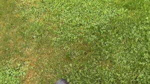 Первичный обзор мощного лодочного электромотора Hangkai 5 (1200w) на 48V