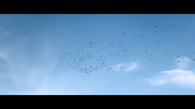 周杰倫 Jay Chou【我是如此相信 I Truly Believe】(電影天火主題曲) Official MV смотреть онлайн