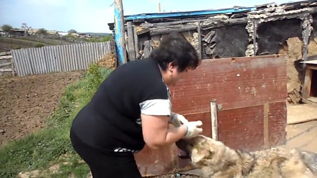 ЛАДУШКИ ЛАДУШКИ.....=D смотреть онлайн