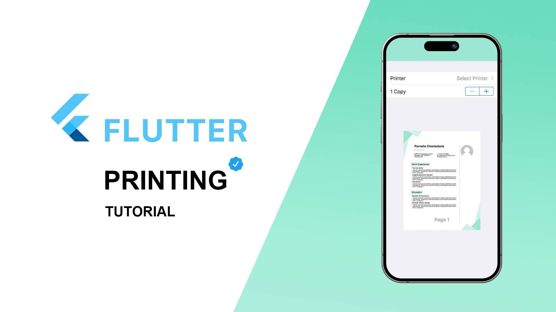 Unlocking the Power of Flutter Printing смотреть онлайн