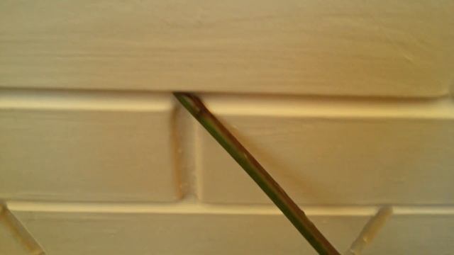 Ежевика ремонтантная как заготовить саженцы.Ежевика ремонтантная как пересадить смотреть онлайн