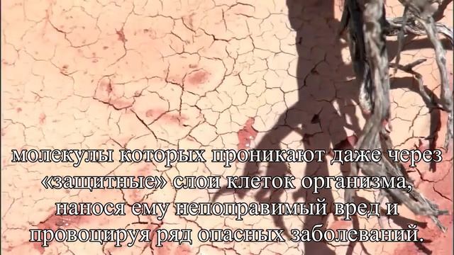 Метро — самый опасный вид общественного транспорта — Статья смотреть онлайн