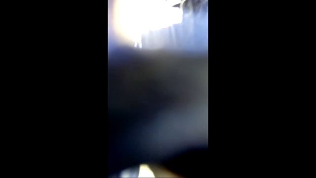 Автобусной "мафии" наплевать на всех смотреть онлайн