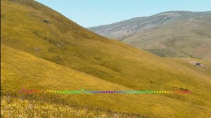 Зульмира Мустафаева - Эй дарган 2023