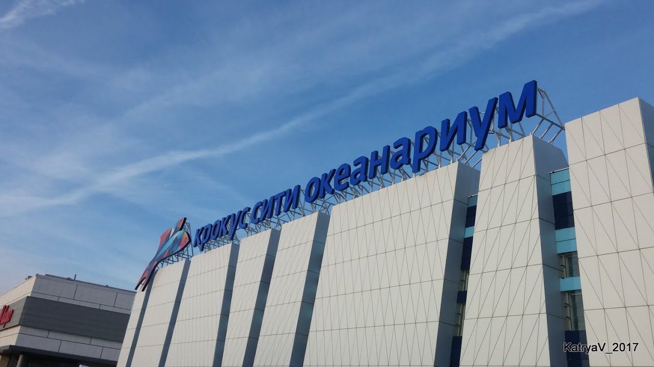 Два рейса в Москву. Часть 1, Океанариум. смотреть онлайн