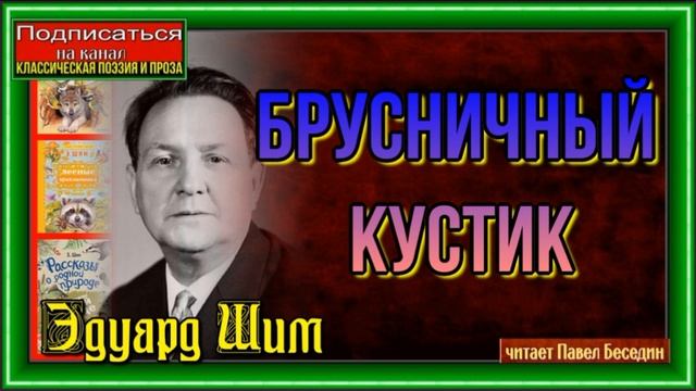 Брусничный кустик —Эдуард Шим — Рассказы о природе— читает Павел Беседин смотреть онлайн