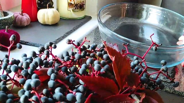 Вкусные закуски и салаты