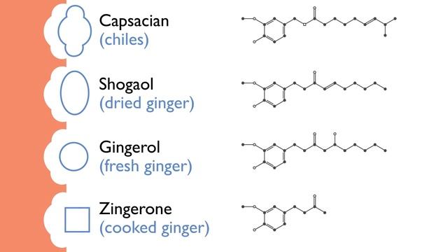 The Science Of Ginger: Why And How It Burns And Its Impact On Cooking | Ginger | What's Eating Dan?