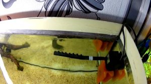 аквариумный фильтр-как убрать шум