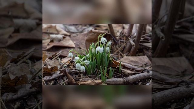 Стих "Расстаться с прошлым" смотреть онлайн