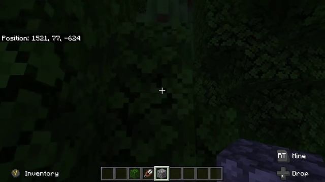 Minecraft Bedrock Finding Chunk Borders смотреть онлайн