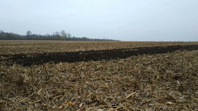Пахота соломистого поля кукурузы. Модернизация ПЛН 3-35. Юмзик с БДТ - 3,0
