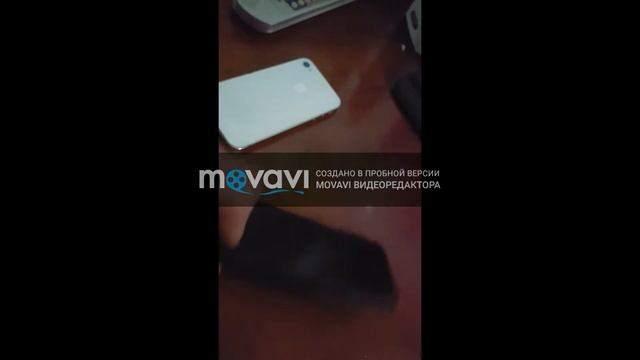 Как купить айфон за 5$ смотреть онлайн