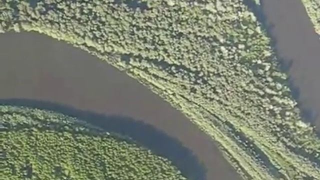 Десна з висоти пташиного польоту смотреть онлайн