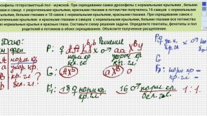 Задача 28 ЕГЭ  Сцепление признака с Х-хромосомой