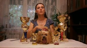 Выставка собак - зачем она нужна