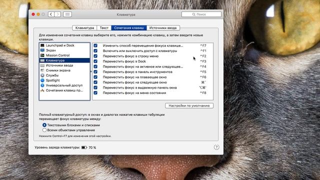 Как сменить сочетание клавиш в Mac OS X 10.11.4 смотреть онлайн
