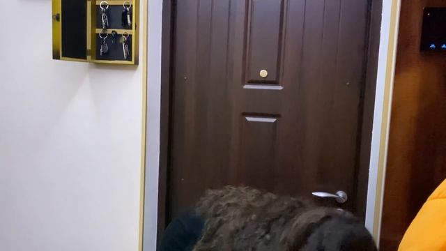 ПРАЗДНИЧНЫЙ ДЕНЬ В ШКОЛЕ / ПЕРВЫЕ ПОДАРКИ НА 8 МАРТА ? смотреть онлайн