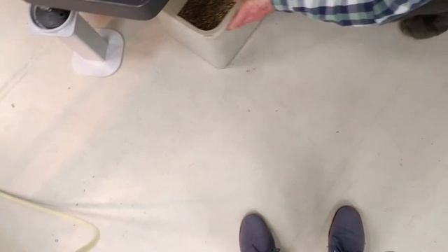 Сортировка Семена Лука смотреть онлайн