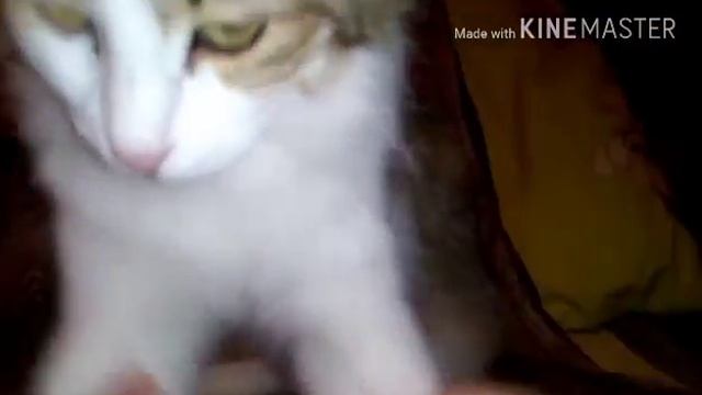 Танец Мани смотреть онлайн