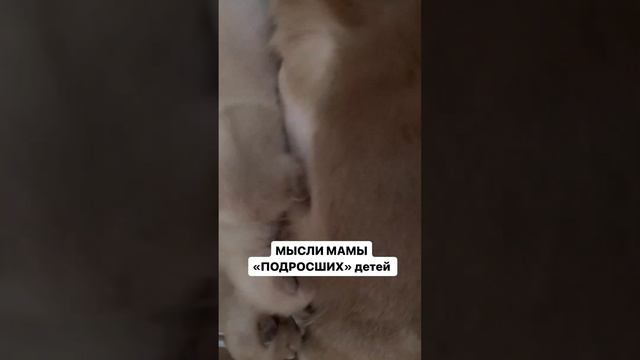 Когда твой ребенок «типа вырос», думаешь о спокойствии, как о чем-то далеком)) Знакомо? #юмор #бурм