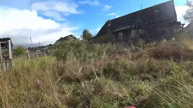 Дела по дому/ Гранта с самоблокировкой на бездорожье/ Сбор Сливы на участке/ Засадил Гранту в грязь смотреть онлайн