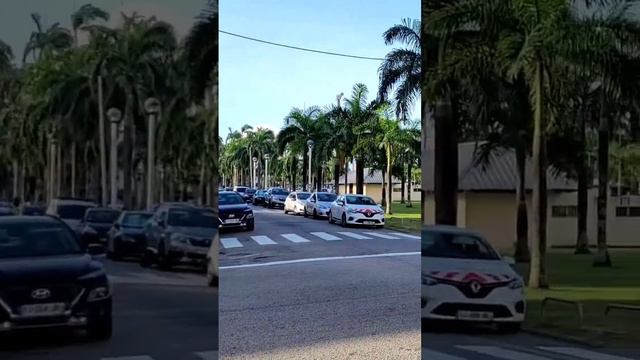 Кайенна, Французская Гвиана смотреть онлайн