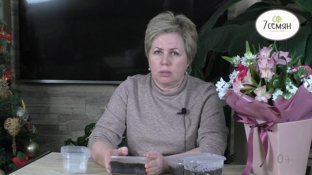 КАК ПРАВИЛЬНО ДЕЛАТЬ СТРАТИФИКАЦИЮ СЕМЯН И ЗАЧЕМ ЭТО НУЖНО! смотреть онлайн