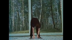 Утренняя Гимнастика СССР ( Л. Петрик )