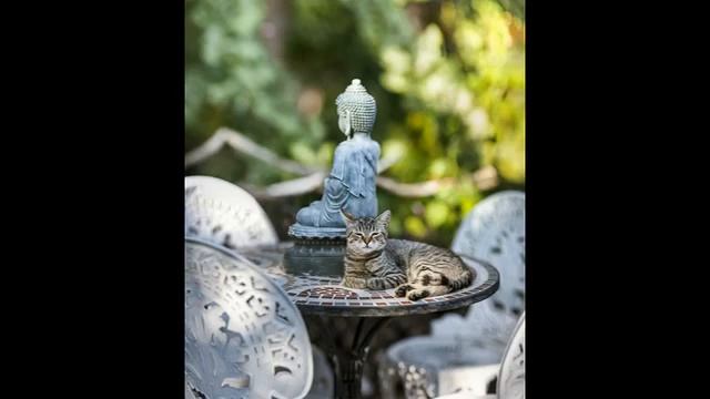 ONG NAMO ( мантра онг намо ) смотреть онлайн