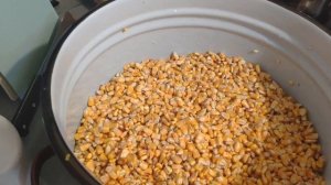 Как правильно варить кукурузу для Карпа! Готовим вкусную Кукурузу для Рыбалки!