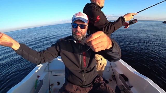 Принципы ловли окуня на дроп шот?Микроджиг, дропшот?Что лучше? [Три дня ловли] смотреть онлайн