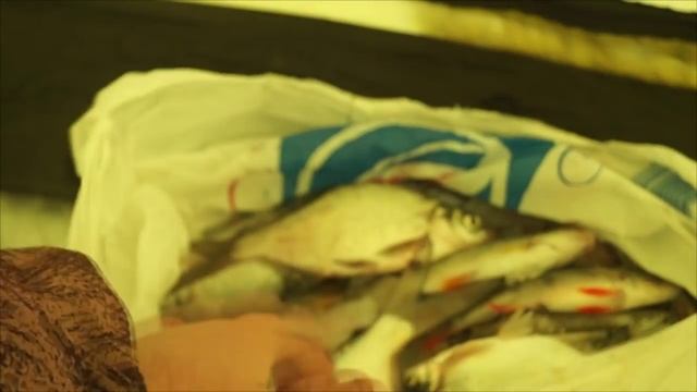 ловля леща видео, зимняя рыбалка, fishing bream and roach смотреть онлайн