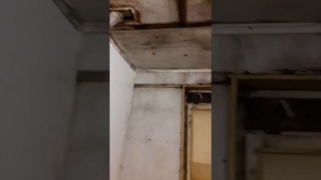 Губкинский мкр7 дом43. ВОТ В ТАКИХ УСЛОВИЯХ ПРОЖИВАЕТ МНОГОДЕТНАЯ СЕМЬЯ. А АДМИНИСТРЦИЯ НАПЛИВАЛА смотреть онлайн
