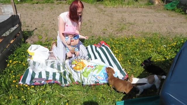 #ЧИХУА И ДЕТИ - ЗНАКОМСТВО#ПИТОМНИКРКФМАРИМИСТИК#куплючихуапродающенка#ЛЕТО ДАЧА ЧИХУА ОТДЫХАЕМ ))) смотреть онлайн