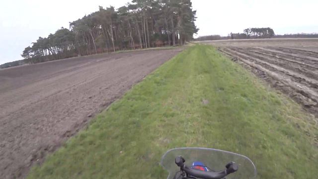Honda CRF 300 Rally testvideo смотреть онлайн