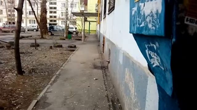 Обзор на домофон смотреть онлайн