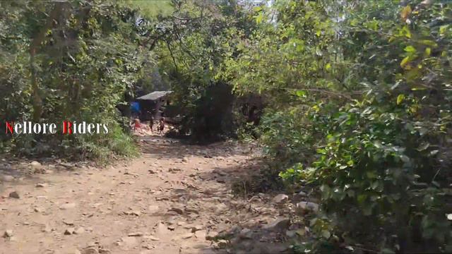 Ubbalamadugu waterfalls -2 || Family తో Trekking చేయడానికి Best place || Tada waterfalls 🏞️✨ смотреть онлайн
