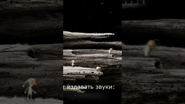 поющие насекомые смотреть онлайн