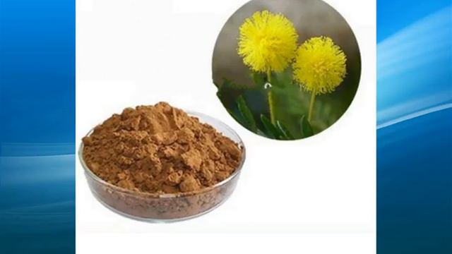 acacia extract supplier,wholesale,bulk,factory смотреть онлайн