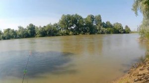 Рыбалка на Кубани.Варениковская.