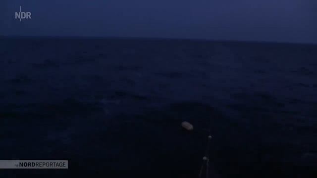 Der letzte Fang? Ostseefischer vor dem Aus | Die Nordreportage | NDR смотреть онлайн