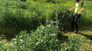 вездекос Пятигорск, покос травы - Видео от Клиента Вездекос ТС 1000