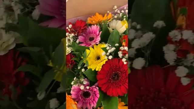 Букет из 25 мини гербер разного цвета микс смотреть онлайн